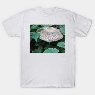 The Forest Mushroom T-Shirt